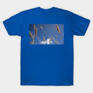 Seed heads. T-Shirt